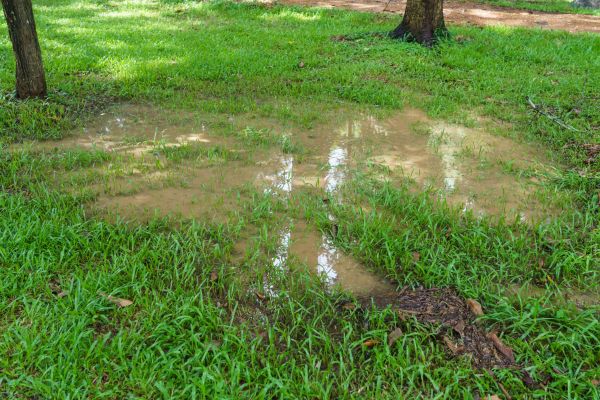 Storm Water Drainage Service in Southport