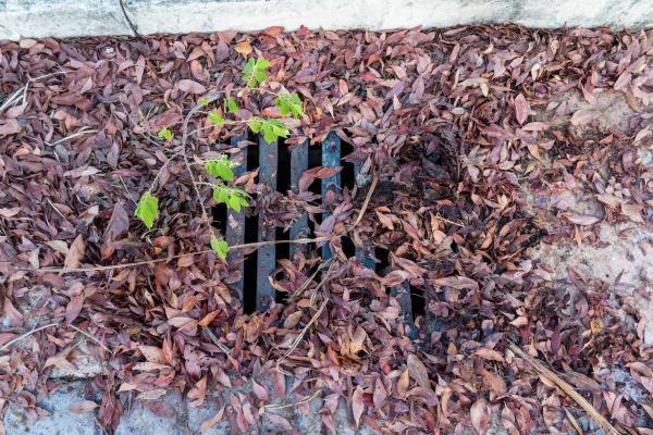 Yard Drain Unclogging in Southport