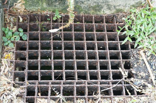Yard Drain Cleaning in Southport