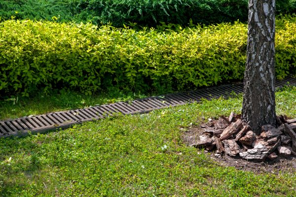 Residential Landscape Drainage in Southport