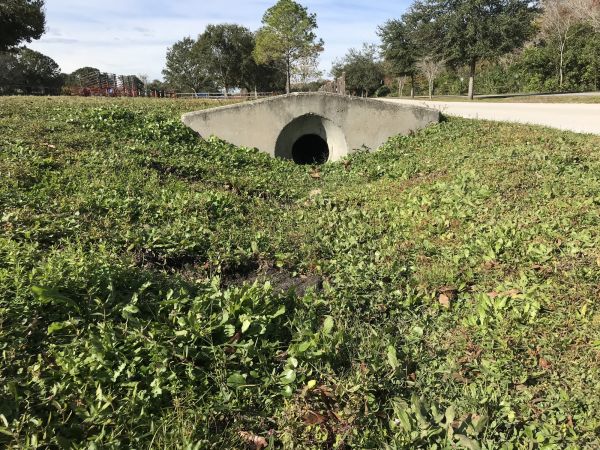 Swale Drainage Service in Southport